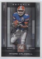 Rookie - Andre Caldwell #/299