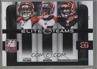 Carson Palmer, Chad Johnson, T.J. Houshmandzadeh [Noted] #/800