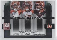 Carson Palmer, Chad Johnson, T.J. Houshmandzadeh #/800