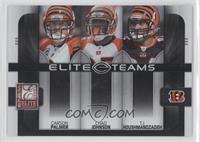 Carson Palmer, Chad Johnson, T.J. Houshmandzadeh #/800