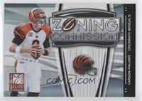 Carson Palmer #/400