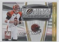 Carson Palmer [Noted] #/800