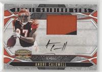 Rookie Gridiron Gems - Andre Caldwell #/50