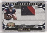 Rookie Gridiron Gems - Steve Slaton #/50