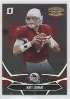 Matt Leinart #/250