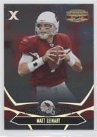 Matt Leinart #/250