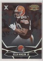 Kellen Winslow Jr. #/250