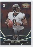 David Garrard #/250