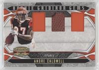 Rookie Gridiron Gems - Andre Caldwell #/25