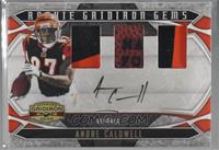 Rookie Gridiron Gems - Andre Caldwell [Noted] #/50