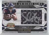 Rookie Gridiron Gems - Steve Slaton #/100