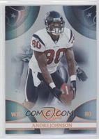 Andre Johnson #/250