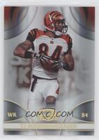 T.J. Houshmandzadeh #/50