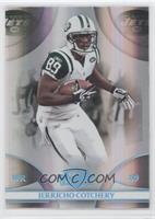 Jerricho Cotchery #/25