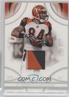 T.J. Houshmandzadeh #/50