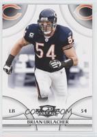 Brian Urlacher