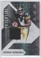 Rashard Mendenhall #/250