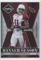 Larry Fitzgerald #/100