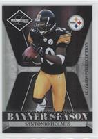 Santonio Holmes #/100