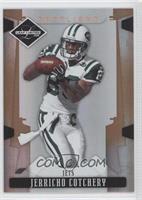 Jerricho Cotchery #/125