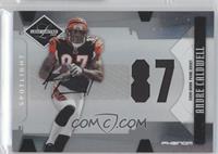 Phenoms - Andre Caldwell #/49