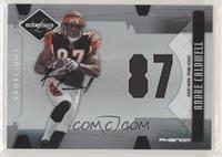 Phenoms - Andre Caldwell #/49