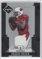 Anquan Boldin #/100