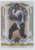 Elements - David Garrard #/49