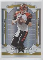 Carson Palmer #/49