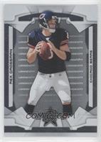 Rex Grossman #/249