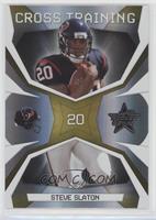 Steve Slaton #/500