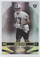 Javon Walker #/25