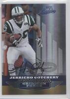 Jerricho Cotchery #/25