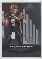 Carson Palmer #/250