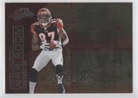 Andre Caldwell #/250