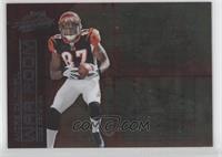 Andre Caldwell #/250