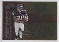 Steve Slaton #/250