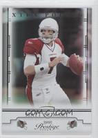 Matt Leinart #/300