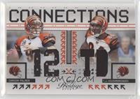 Carson Palmer, T.J. Houshmandzadeh #/250