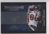 Andre Johnson #/1,000