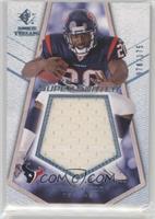 Steve Slaton #/175