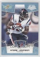 Andre Johnson #/250