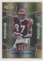 Rookie - Andre Caldwell #/50