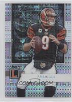 Carson Palmer #/25