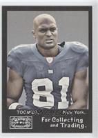 Amani Toomer