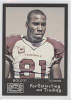 Anquan Boldin