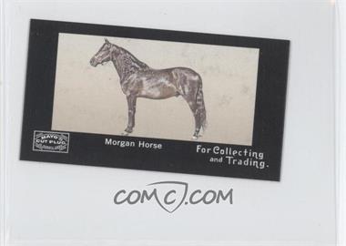 2008 Topps Mayo - Horses Mini #H-9 - Morgan Horse