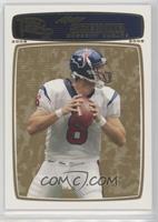 Matt Schaub #/199