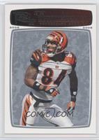 T.J. Houshmandzadeh #/99