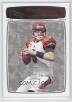 Carson Palmer #/299